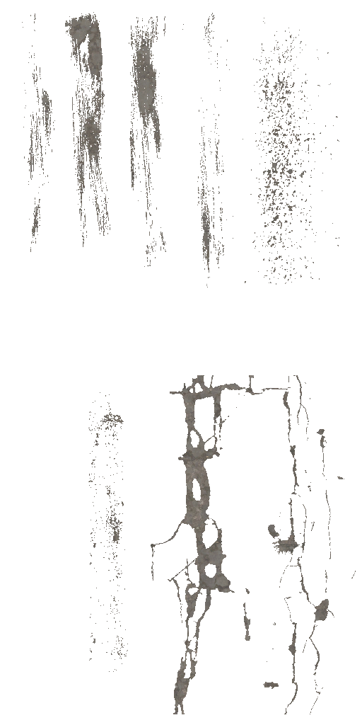 AET007_417_a.png
