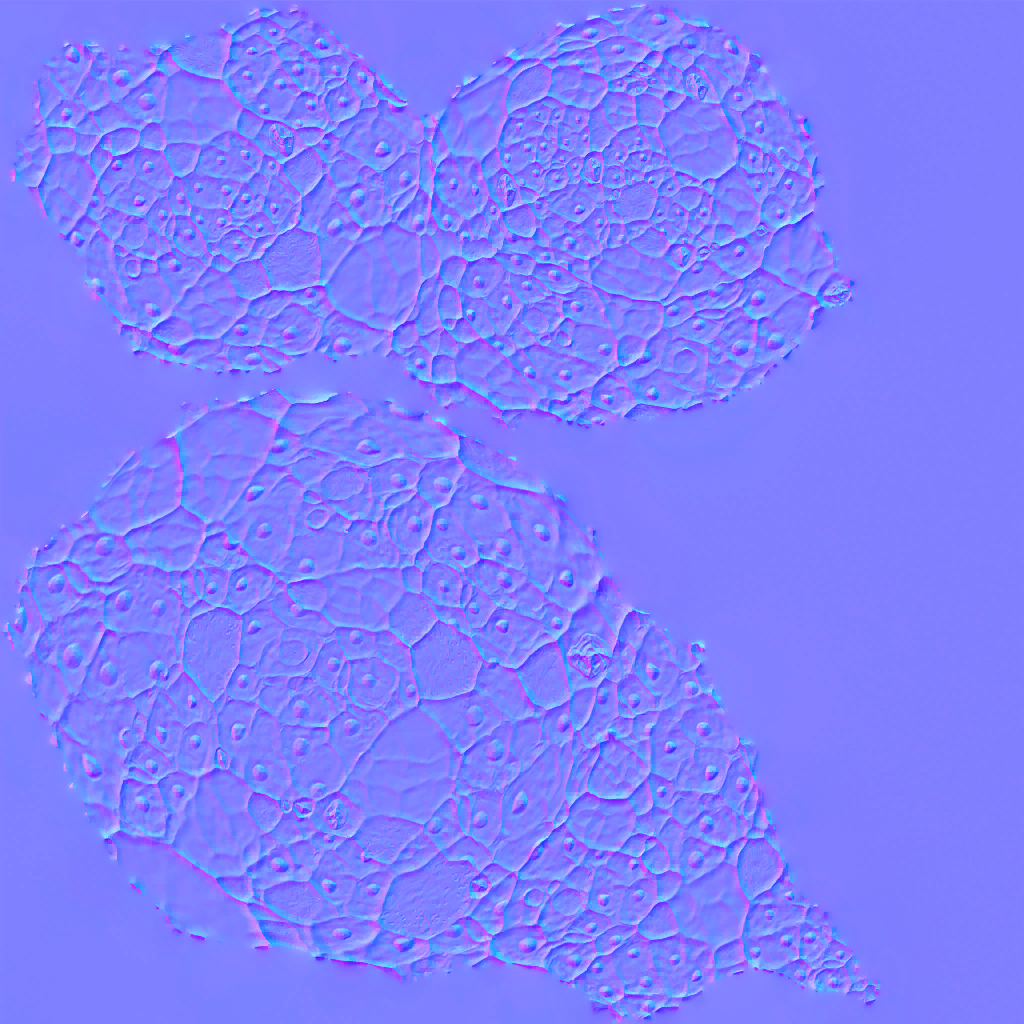 AET007_676_n.png