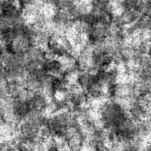 AET030_061_1m.png