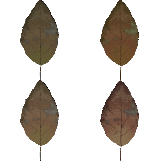AET030_119_a.png