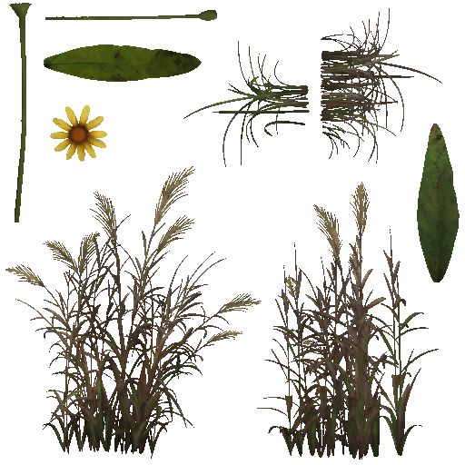 AET030_124_a.png