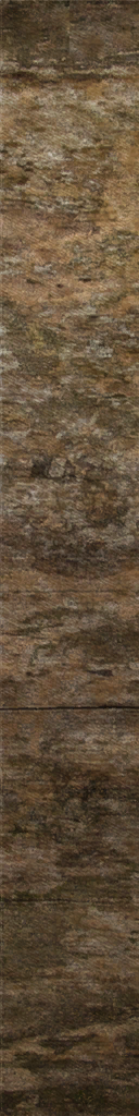 AET030_263_a.png