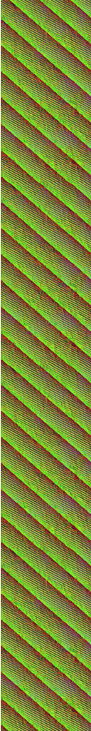 AET030_263_n.png
