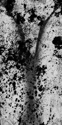 AET030_320_m.png