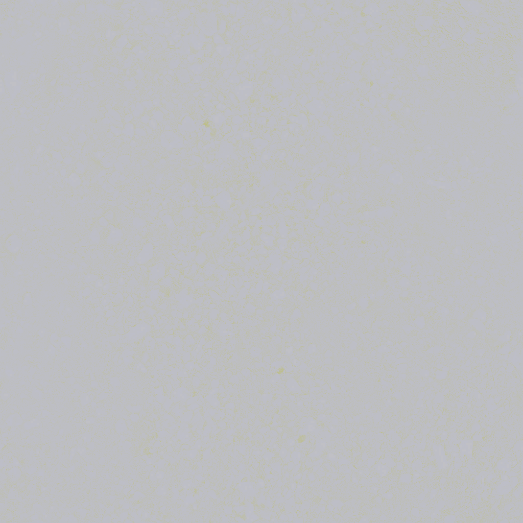 AET051_021_n.png