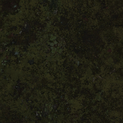 AET051_129_a.png