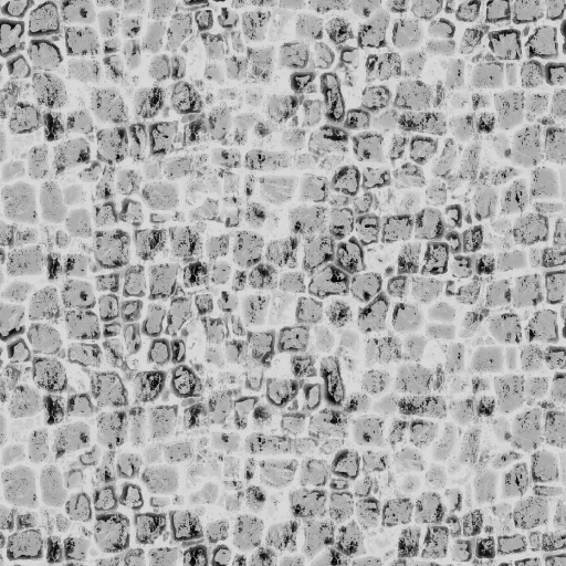 AET051_236_1m.png