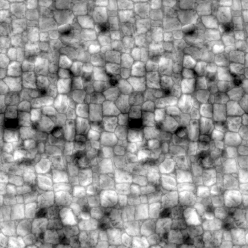 AET051_429_1m.png