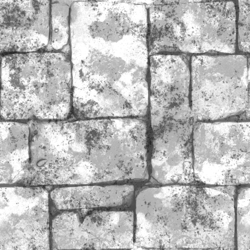 AET051_444_1m.png