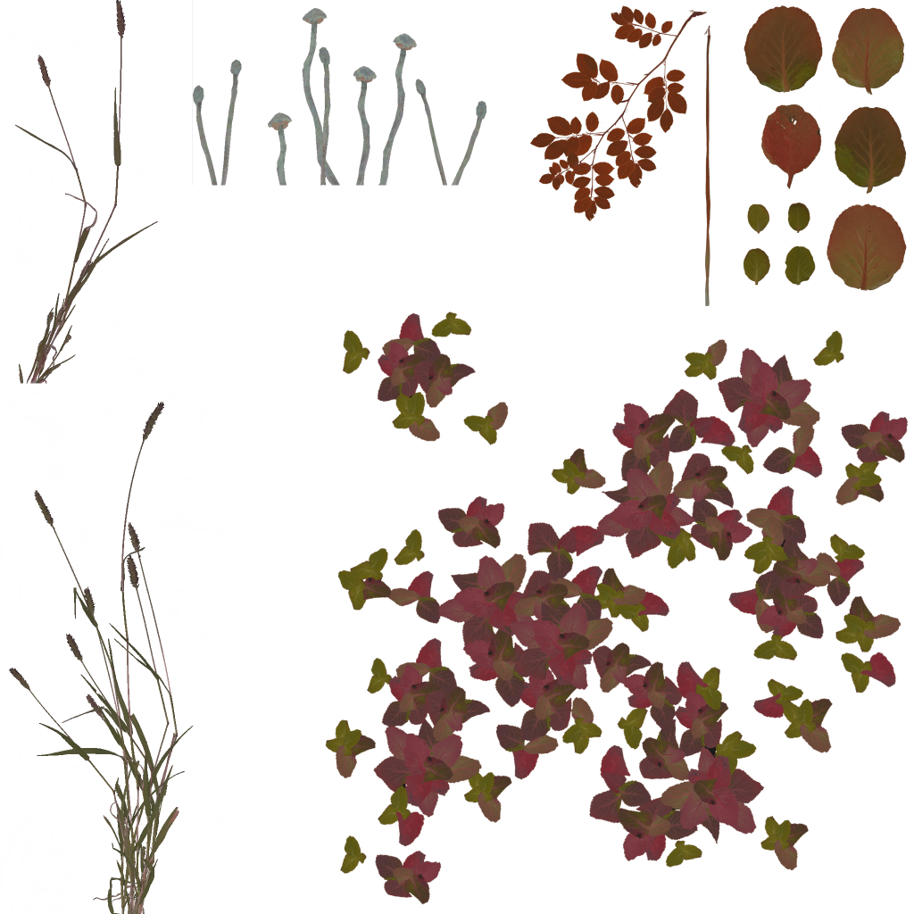 AET055_156_a.png