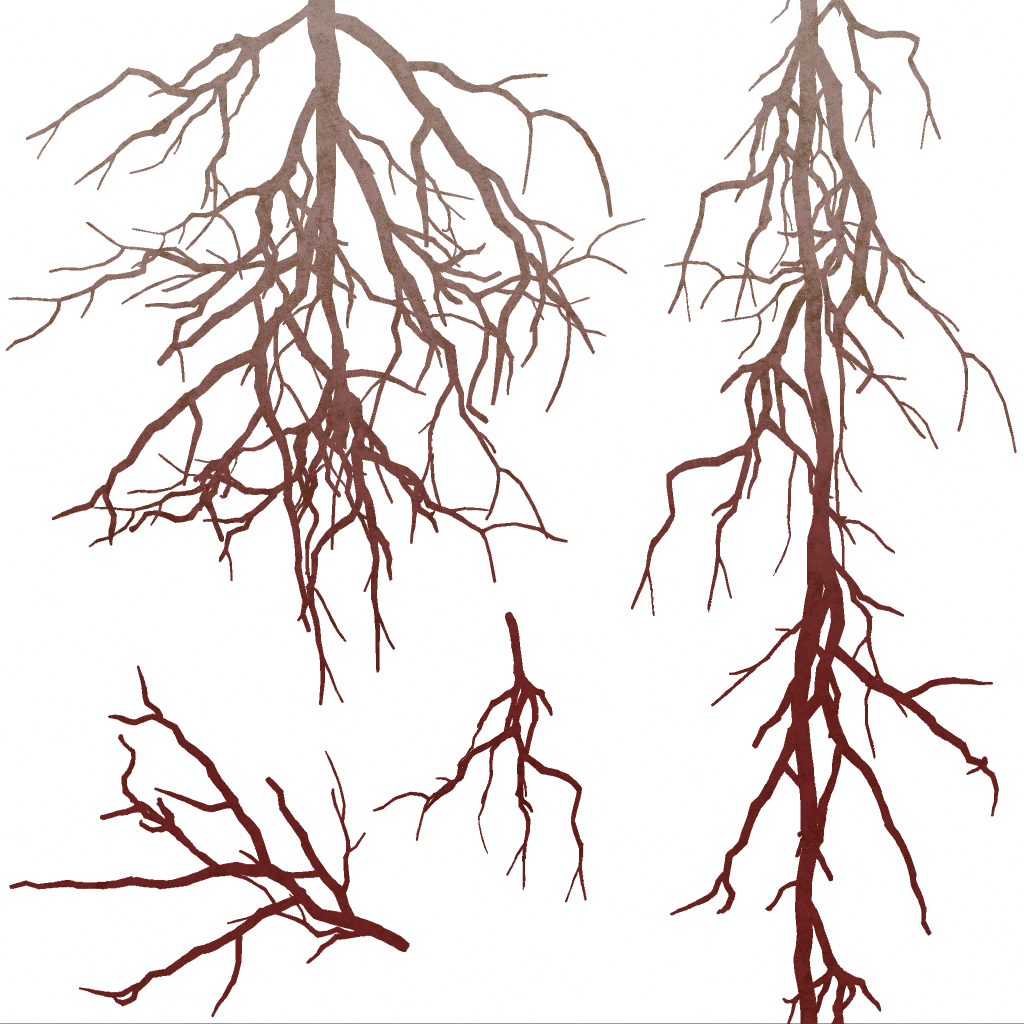 AET055_157_a.png