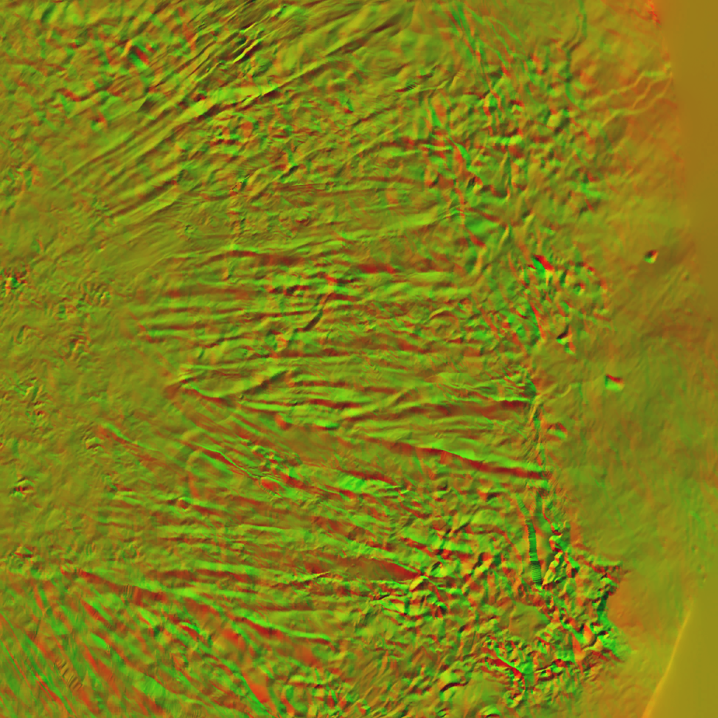 AET055_197_n.png