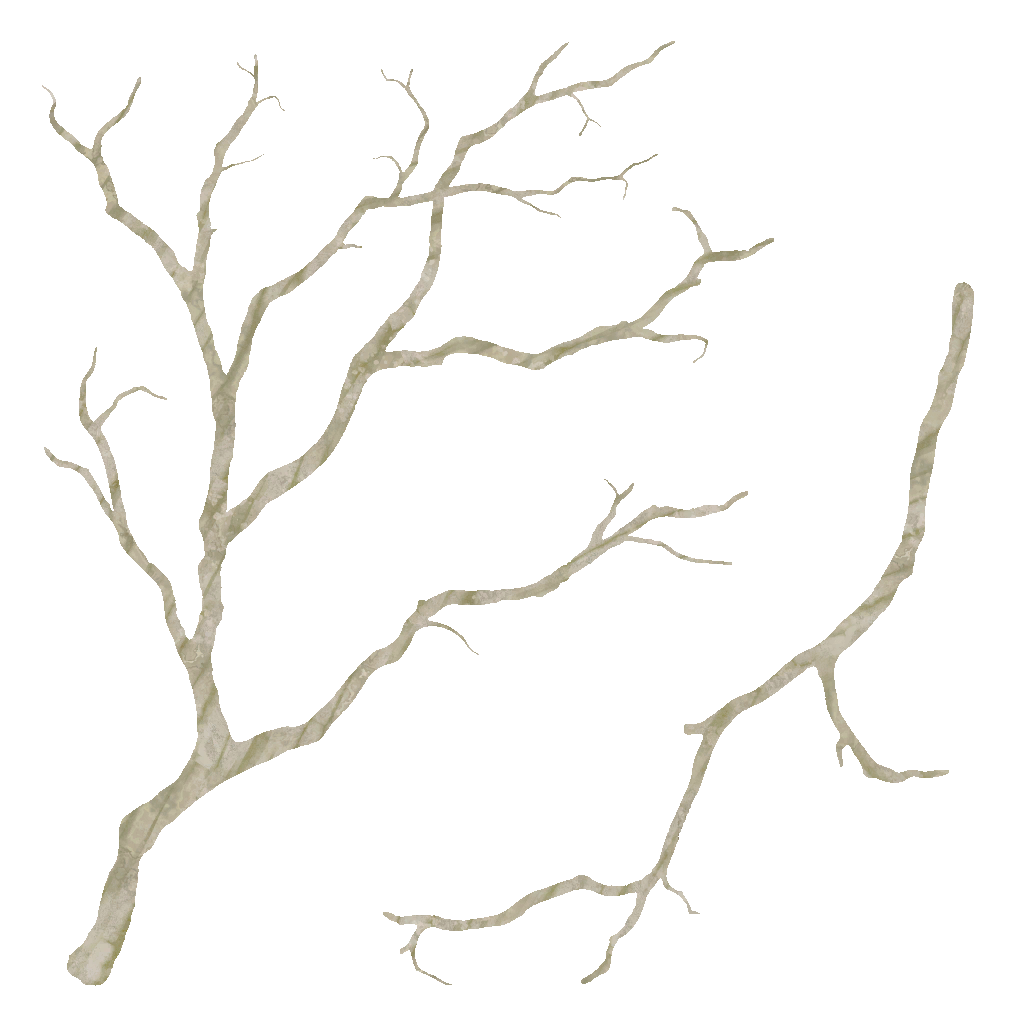 AET055_315_a.png