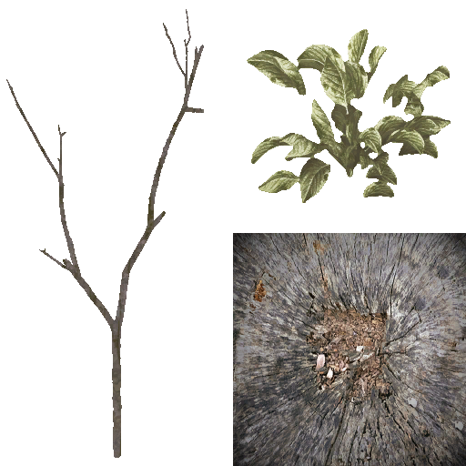 AET055_470_a.png
