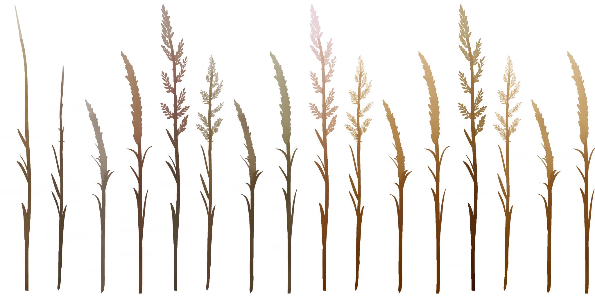 AET066_005_a.png
