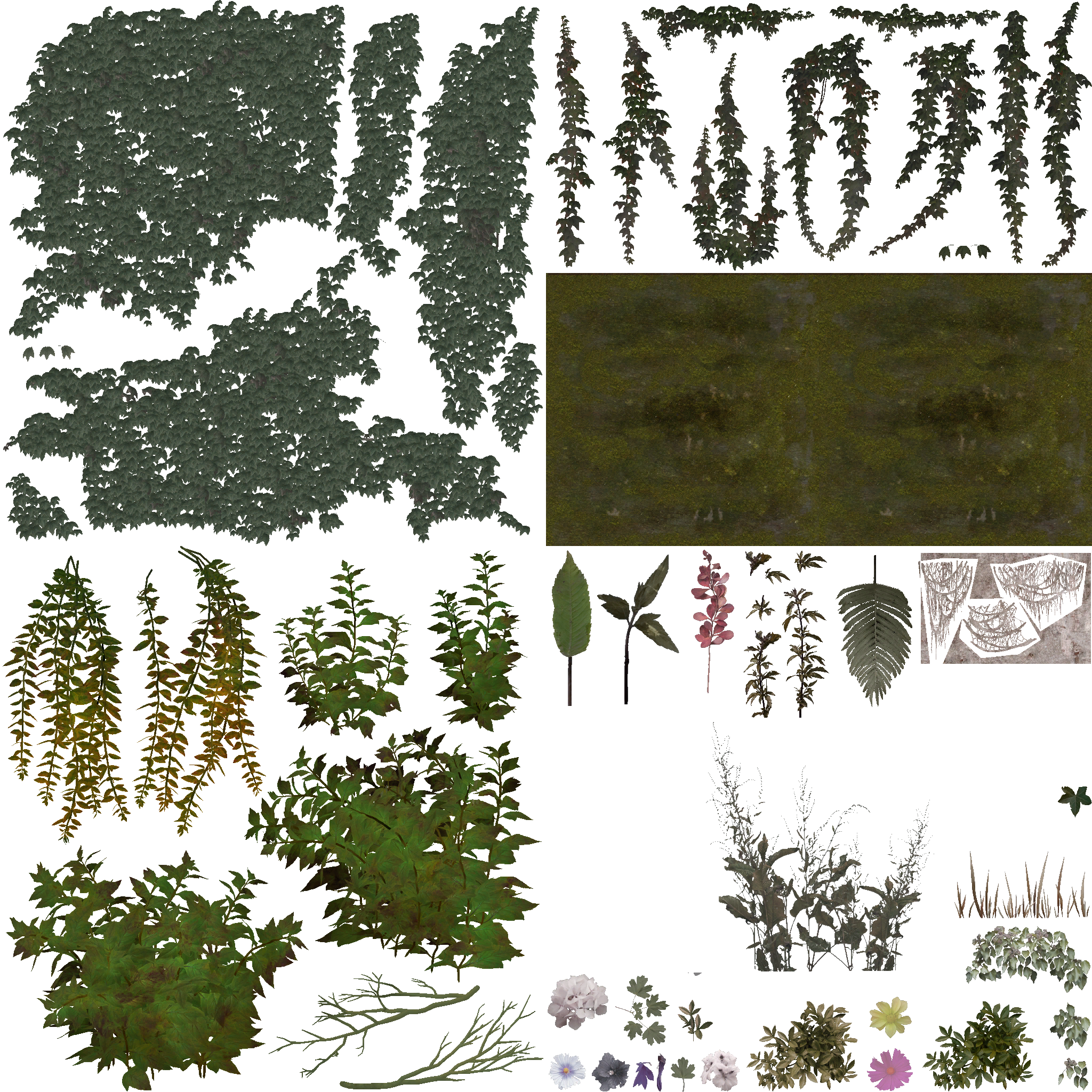 AET066_006_a.png