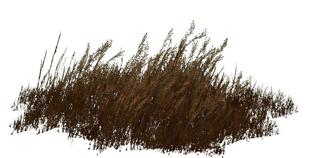 AET066_018_a.png