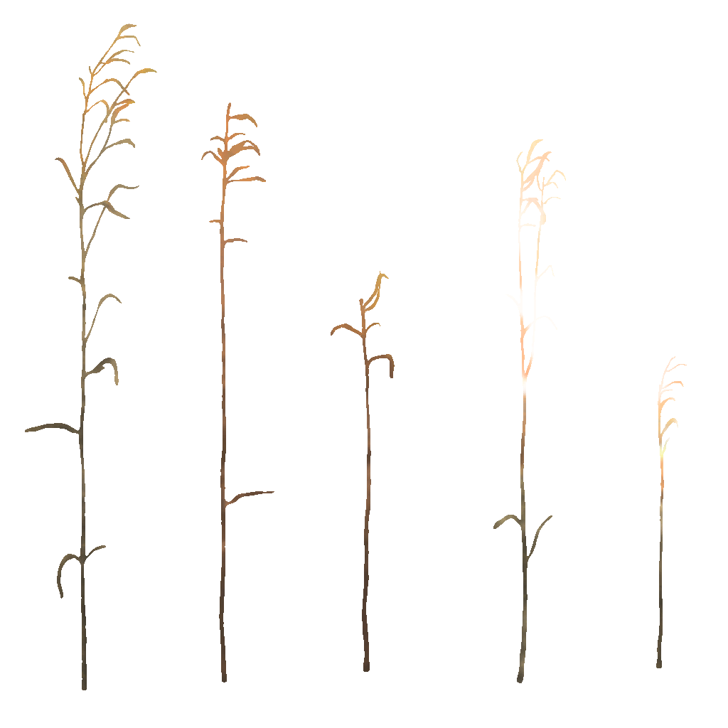 AET066_020_a.png