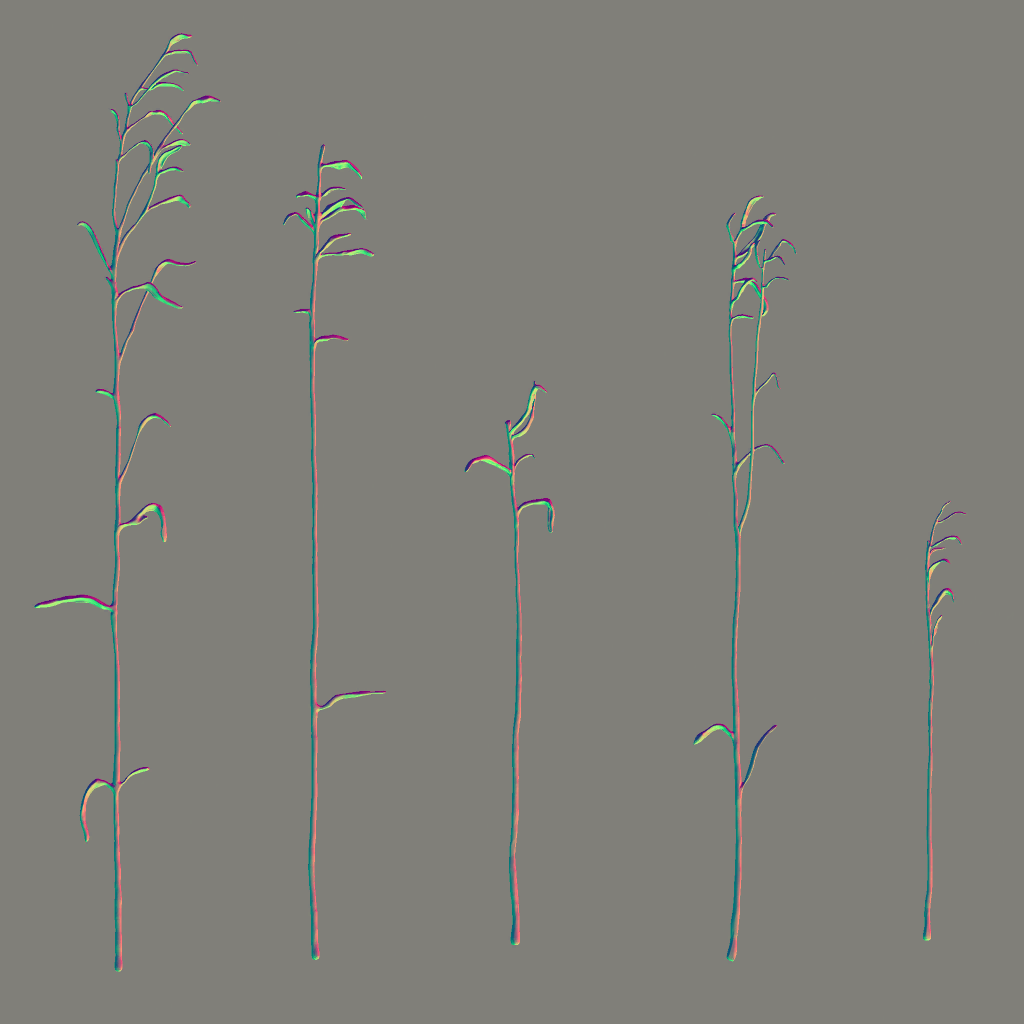 AET066_020_n.png
