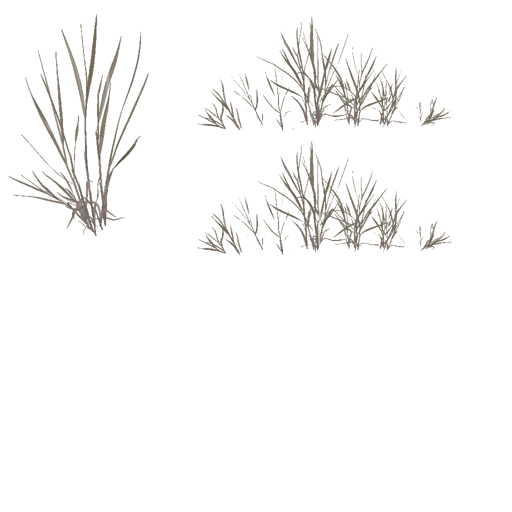 AET066_031_a.png