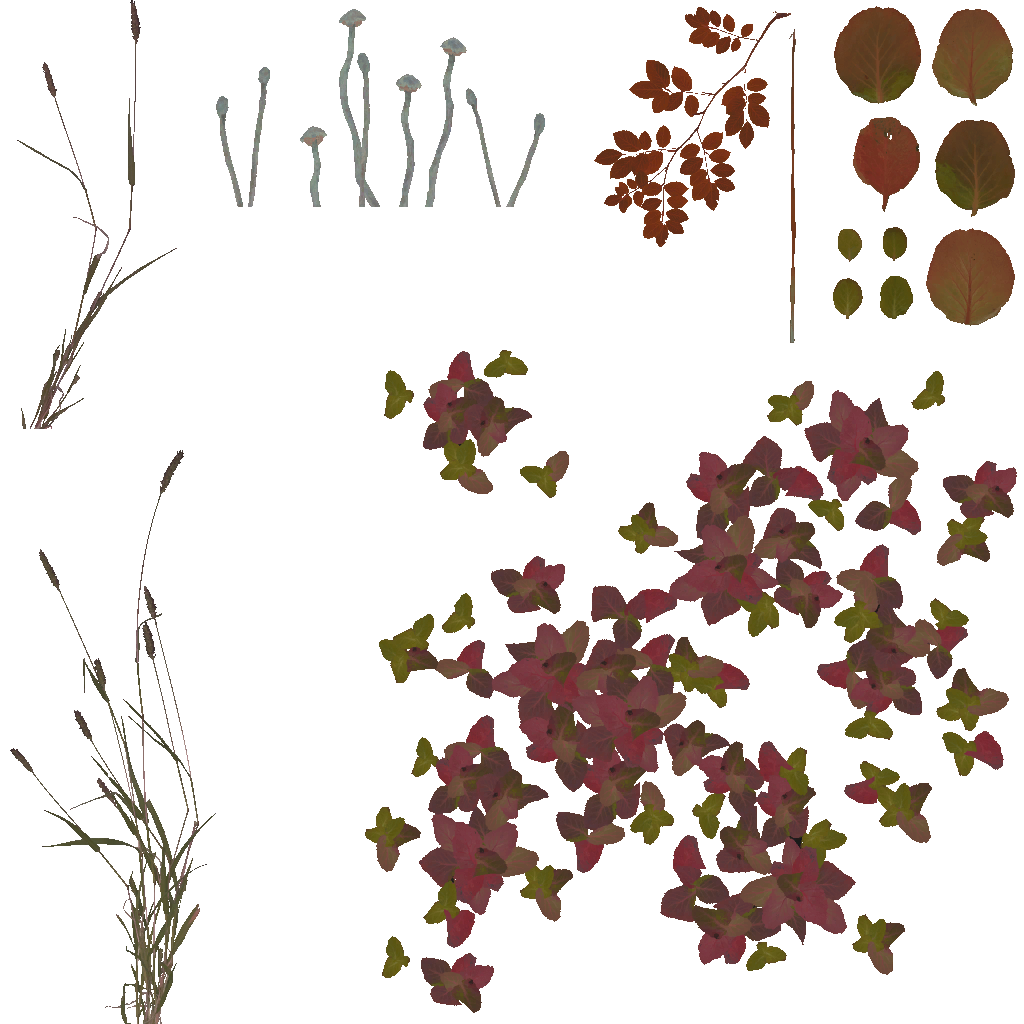 AET066_036_a.png