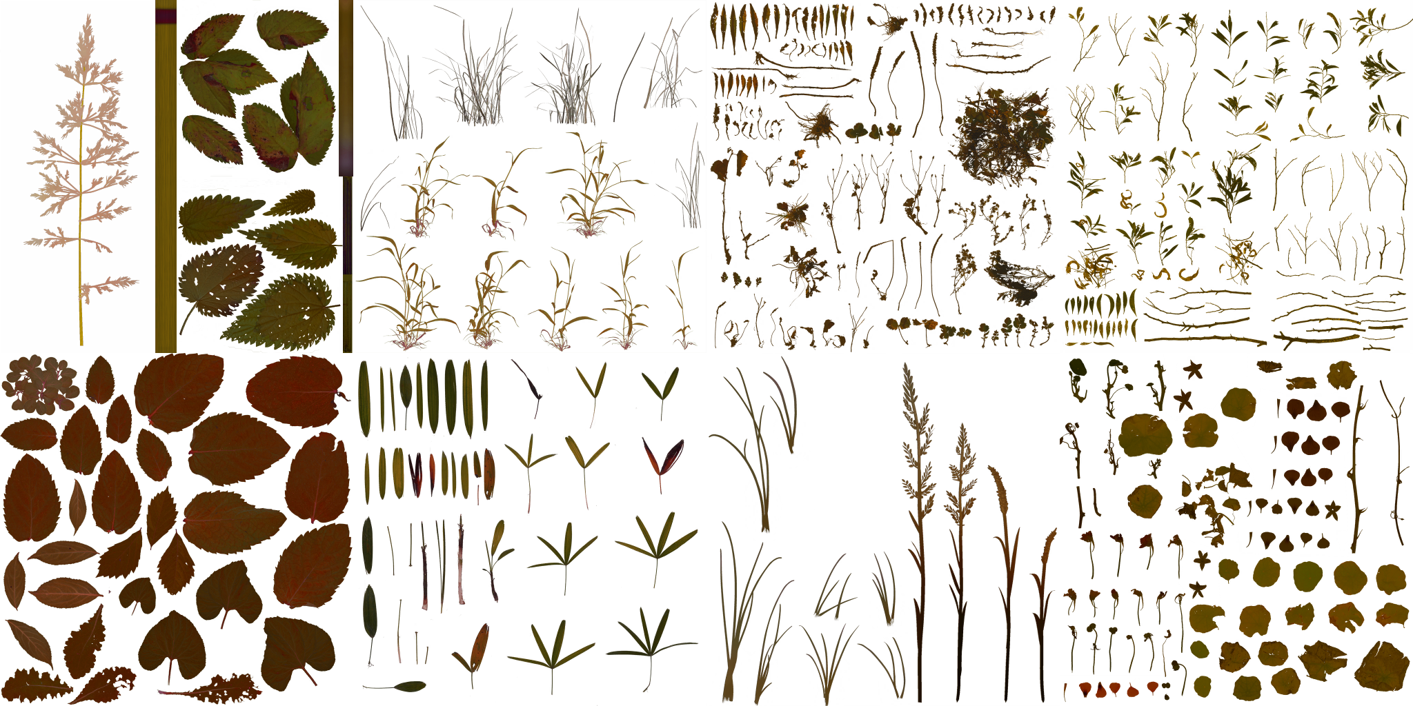 AET066_037_a.png