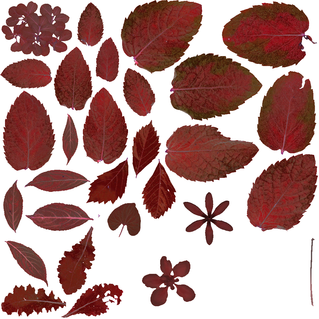AET066_043_a.png
