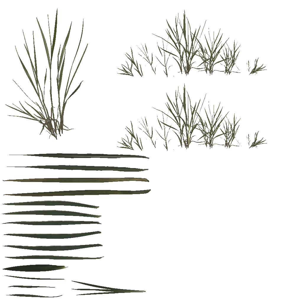 AET066_048_a.png