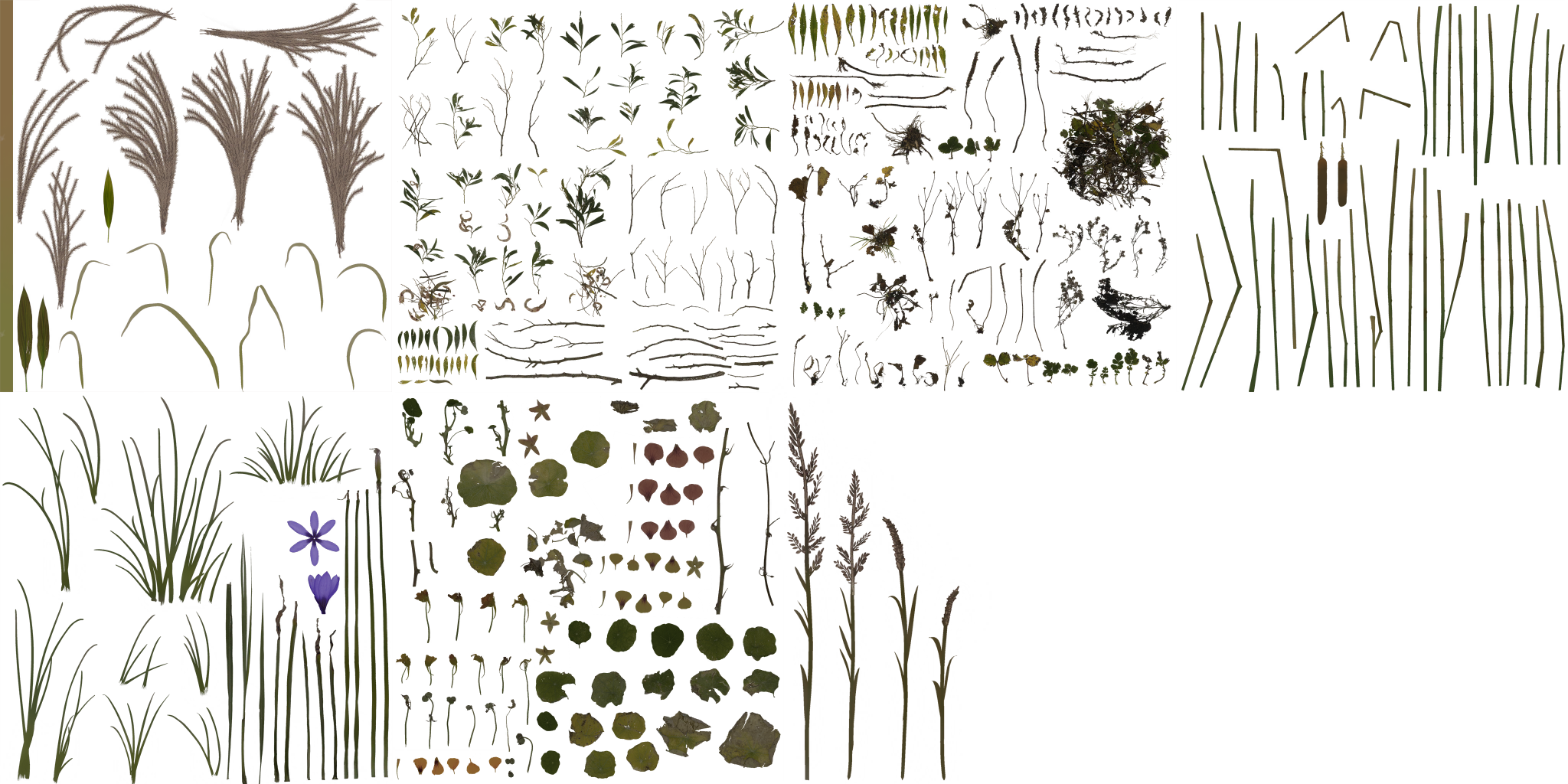 AET066_052_a.png