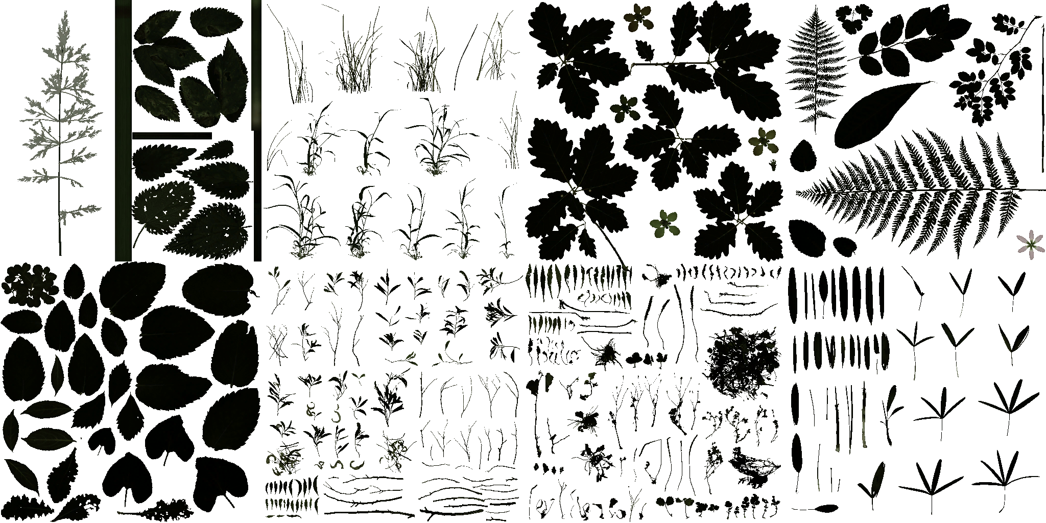 AET066_053_a.png