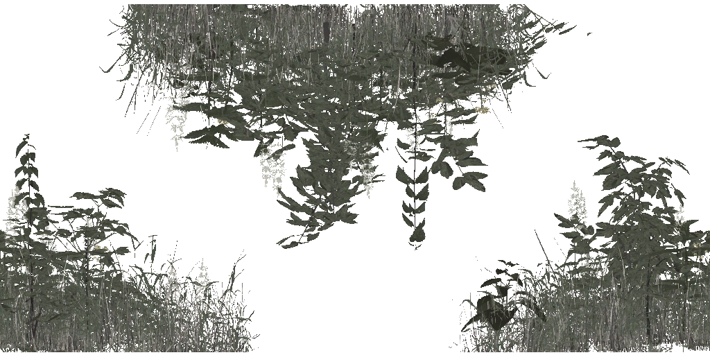 AET066_055_a.png