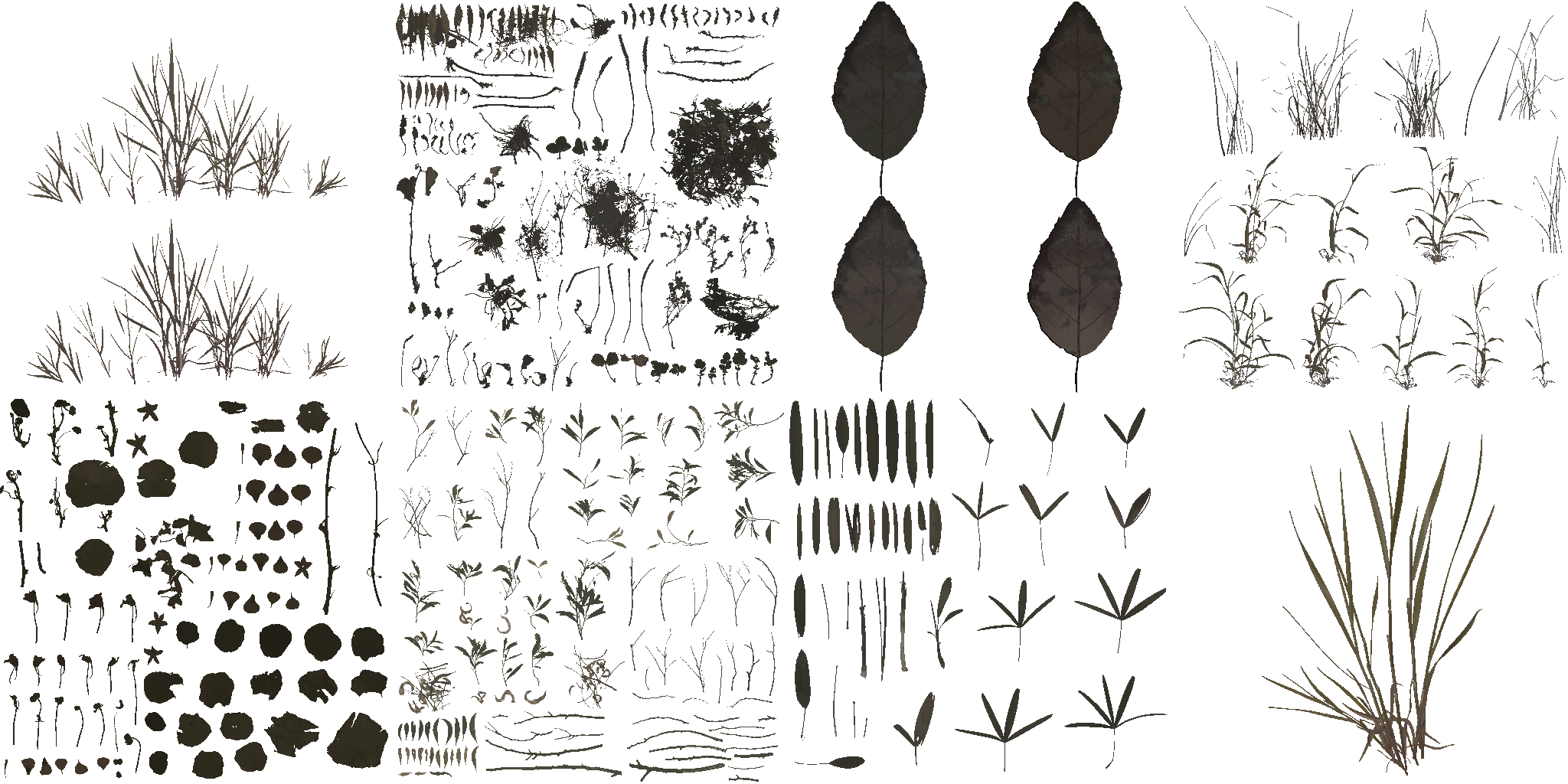 AET066_062_a.png