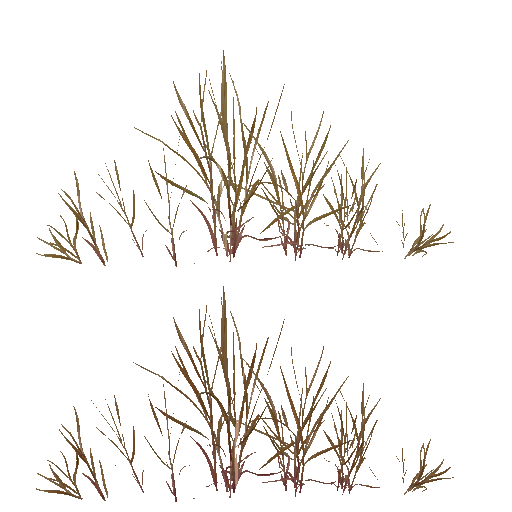 AET066_063_a.png