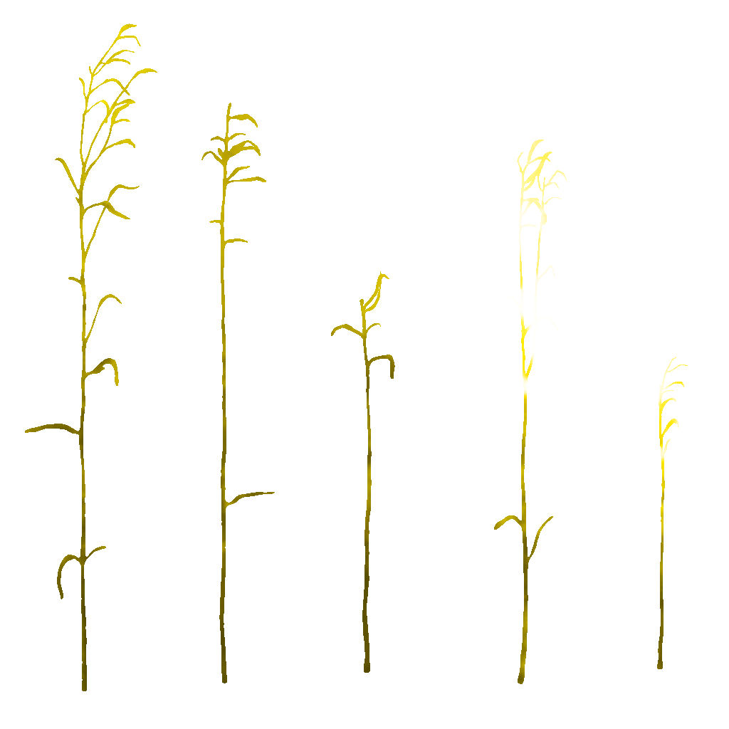 AET066_076_a.png