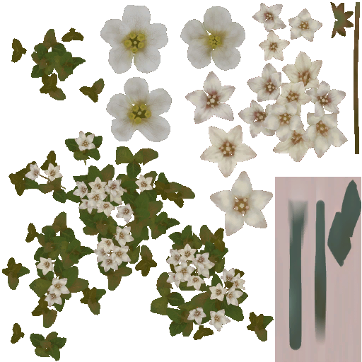 AET066_091_a.png