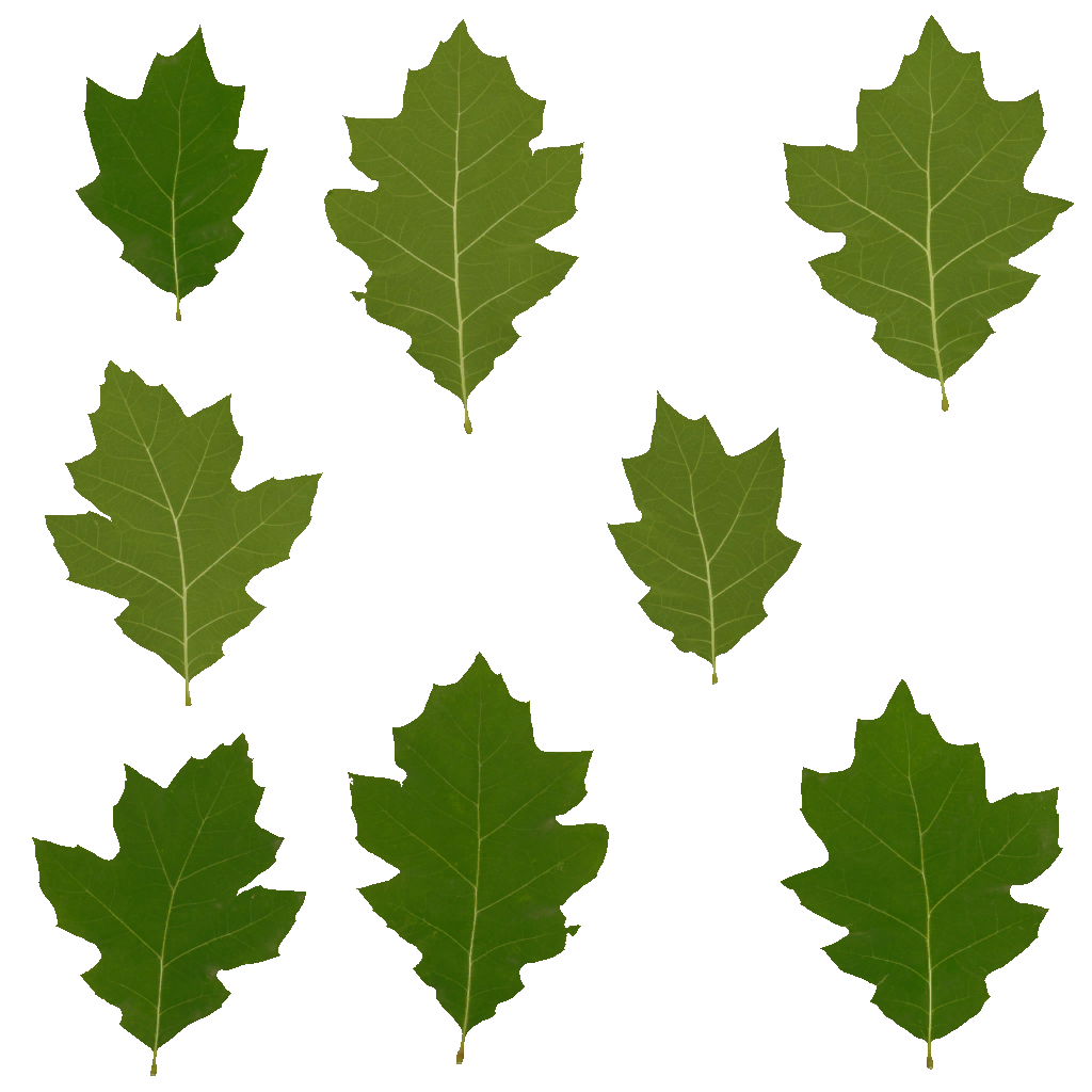 AET066_116_a.png