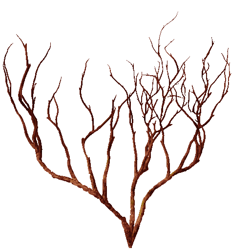 AET066_228_a.png