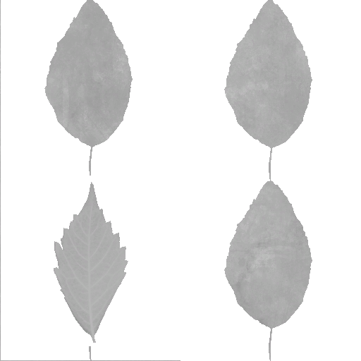 AET090_270_a.png
