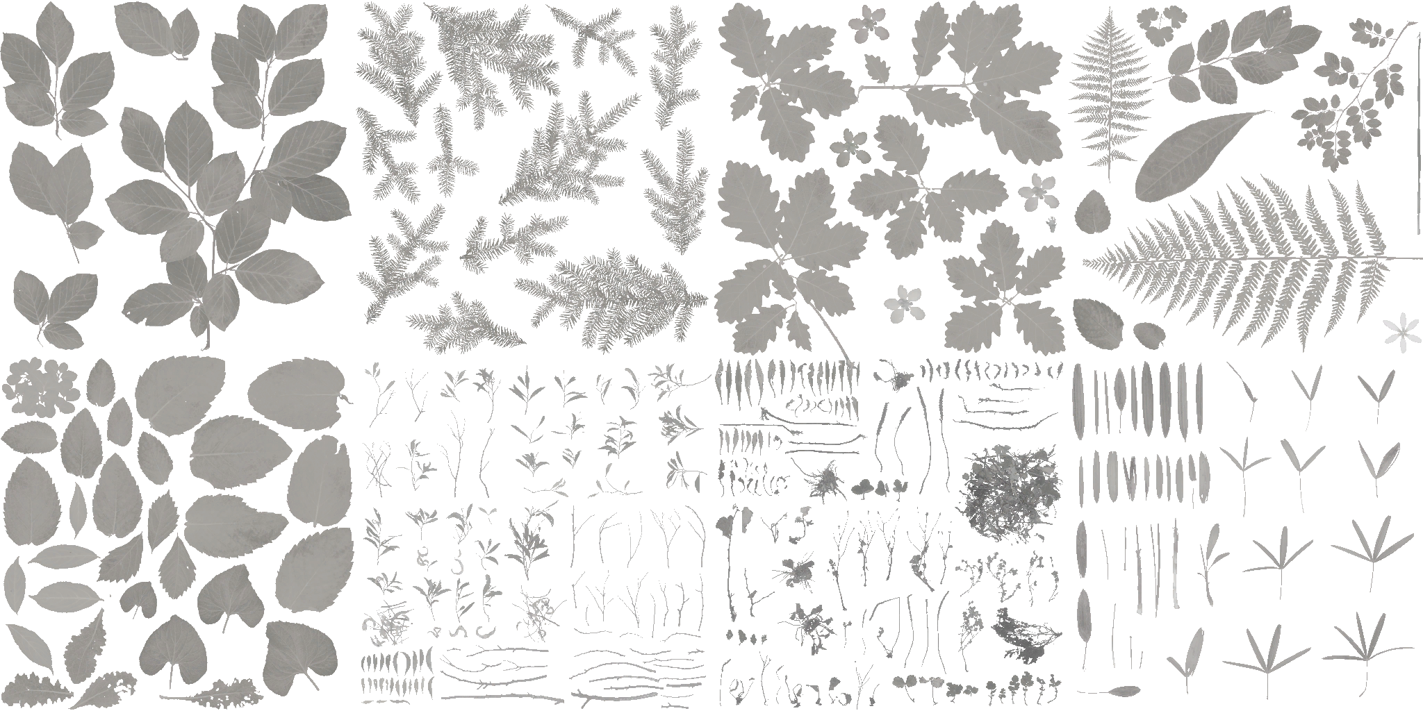 AET090_285_a.png