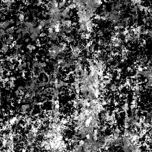AET099_404_a.png