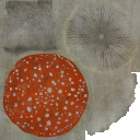 AET099_650_a.png
