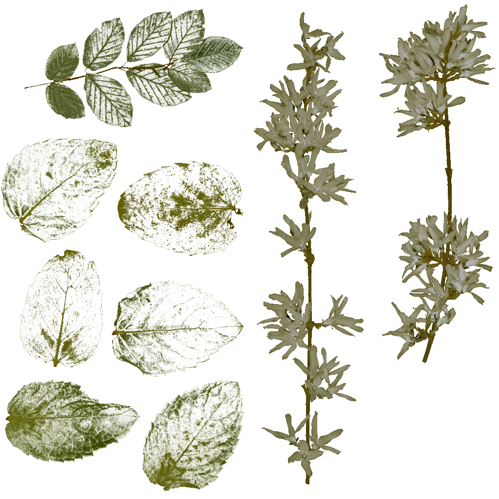 AET099_682_a.png