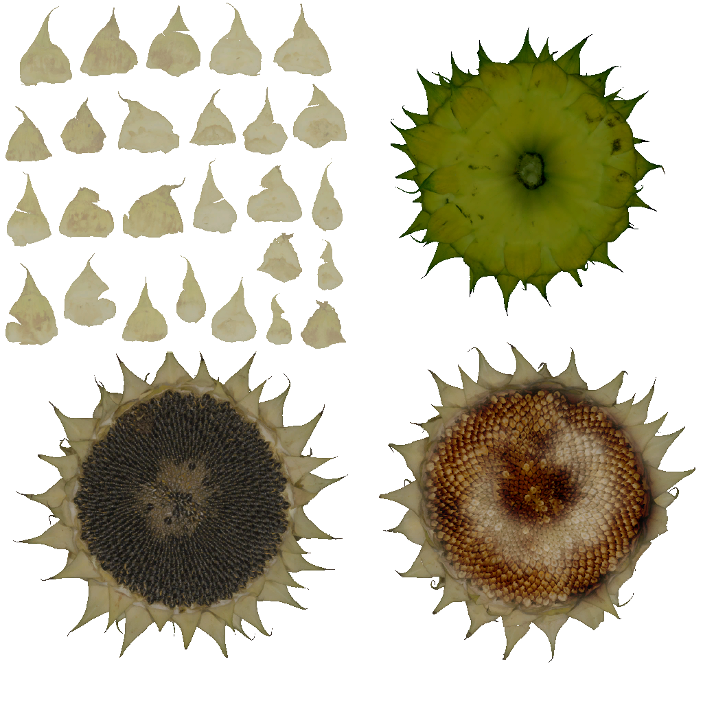 AET099_683_a.png