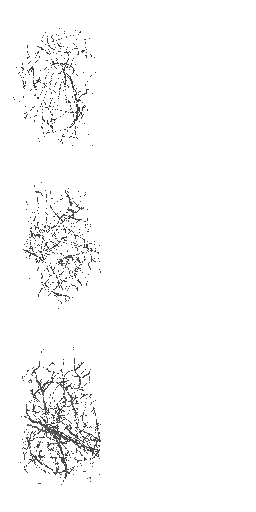 AET099_705_a.png