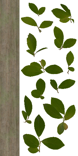 AET099_730_a.png