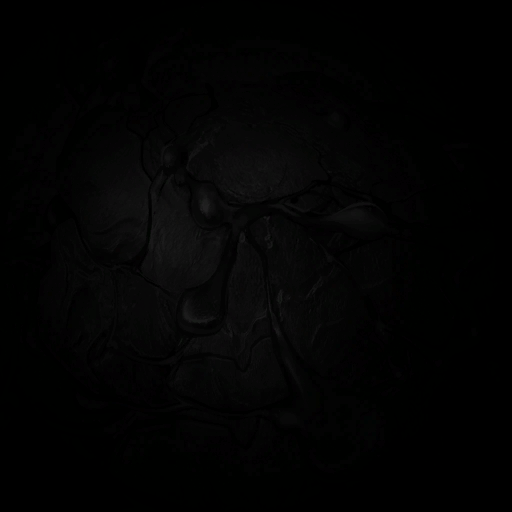 AET099_825_em.png