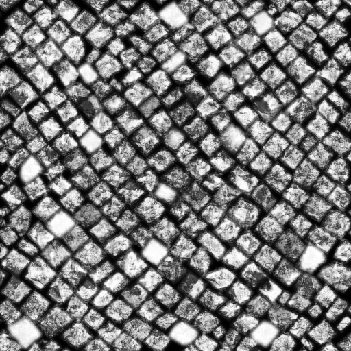 AET210_061_1m.png
