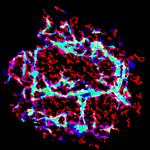AET210_223_3m.png