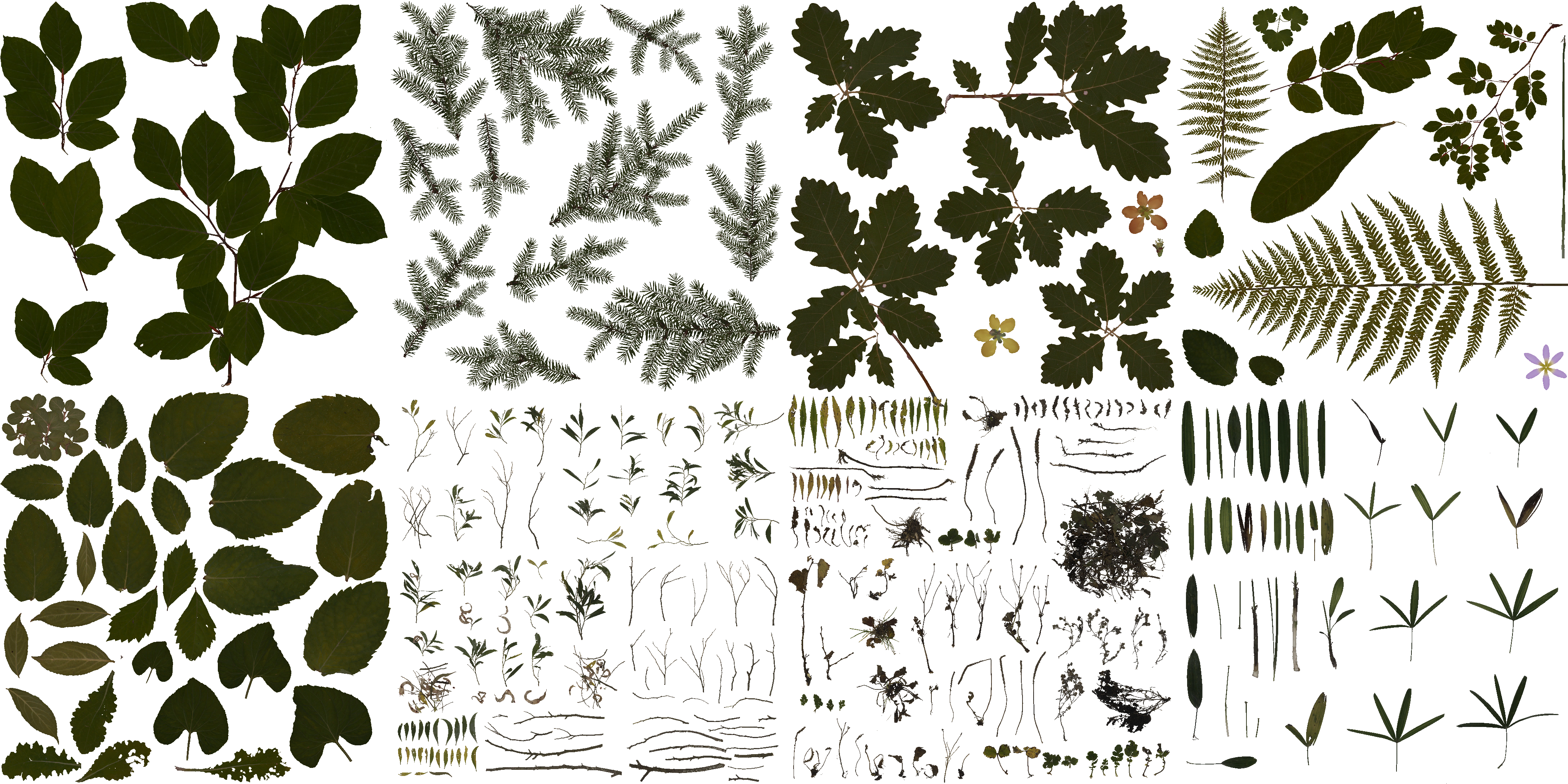 AET210_414_a.png