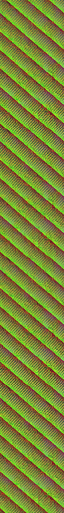 AET210_511_n.png